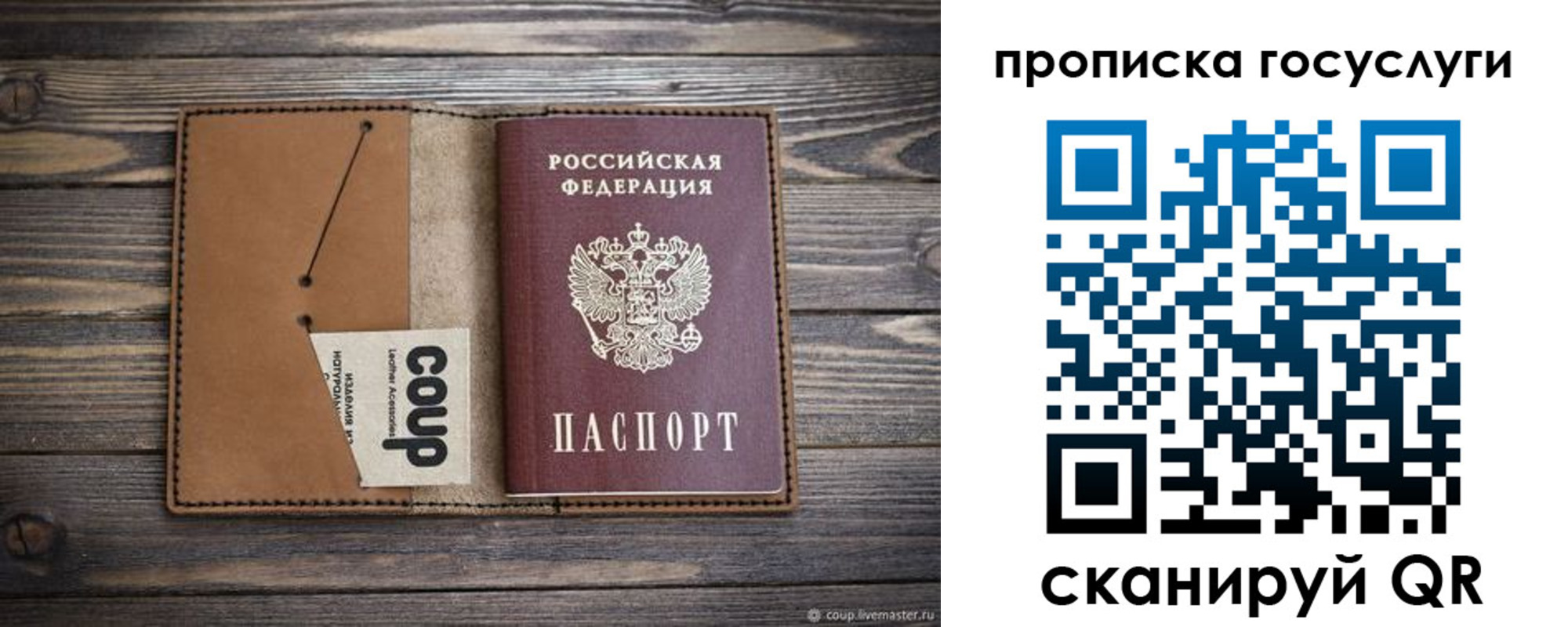 временная прописка в Мурино
